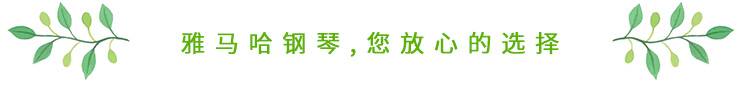 这才是真相：绿色关爱，d88尊龙z6的环境政策