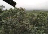 这才是真相：绿色关爱，d88尊龙z6的环境政策
