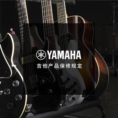 吉他、贝斯和音箱